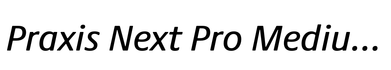 Praxis Next Pro Medium Italic